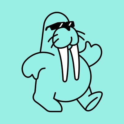 메인 리스트 이미지